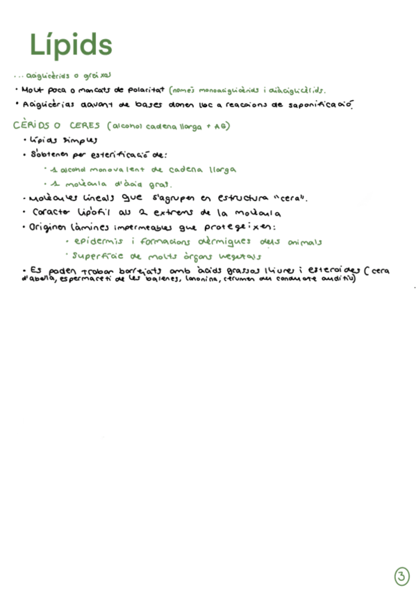 Miniatura del documento Lipids-tema-2-Bat.pdf