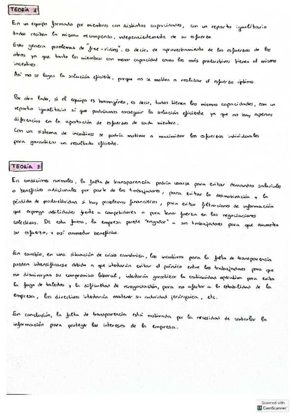Miniatura del documento solución teoría.pdf