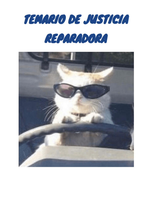 Miniatura del documento TEMARIO-COMPLETO-DE-JUSTICIA-REPARADORA.pdf