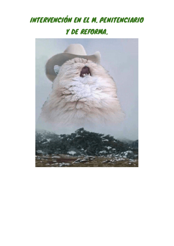 Miniatura del documento TEMARIO-COMPLETO-INTERVENCION-REFORMA.pdf