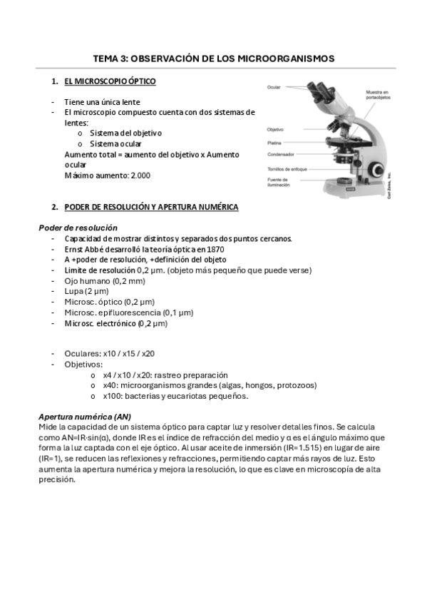 Miniatura del documento TEMA-3.-OBSERVACION-DE-LOS-MICROORGANISMOS.pdf