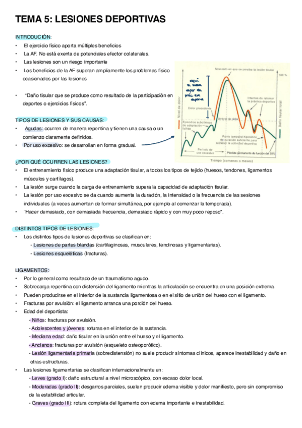 Miniatura del documento Apuntes-tema-5.pdf