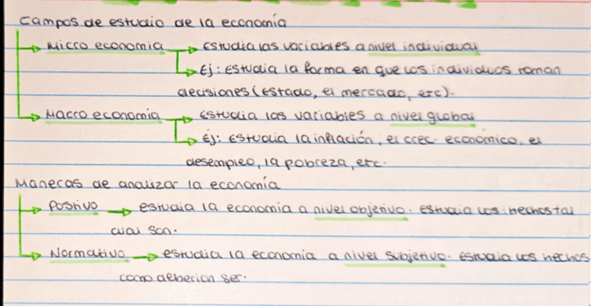 Miniatura del documento Economia-concepto-campos-de-estudio-problematica-analisis.pdf