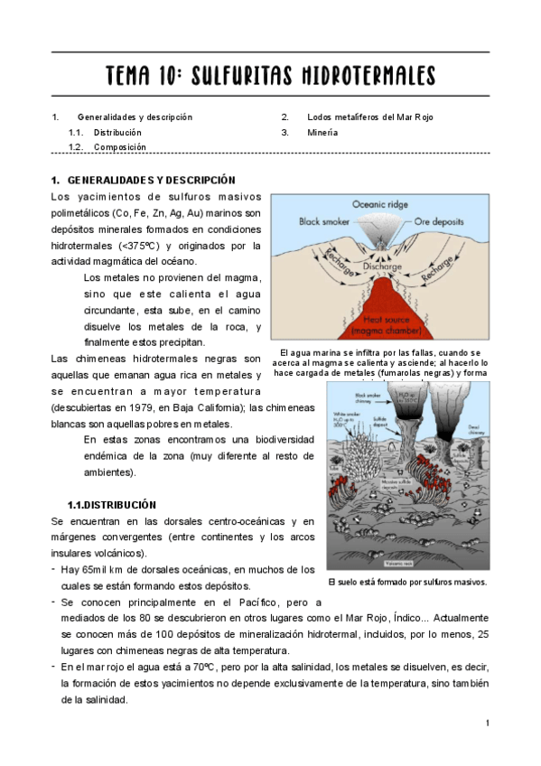 Miniatura del documento tema-10.pdf