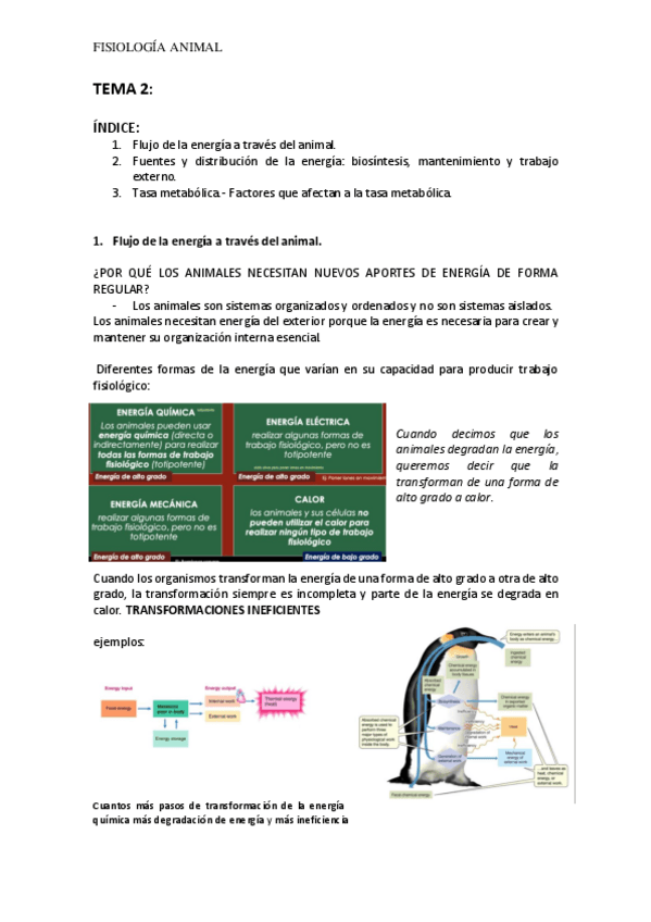 Miniatura del documento TEMA-2-FA.pdf