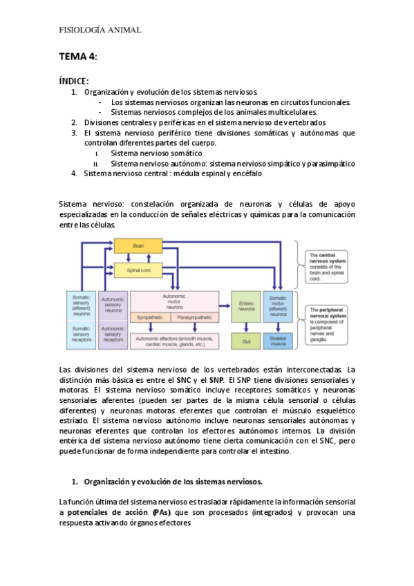 Miniatura del documento TEMA-4-FA.pdf