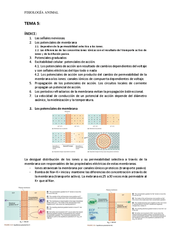 Miniatura del documento TEMA-5-FA.pdf