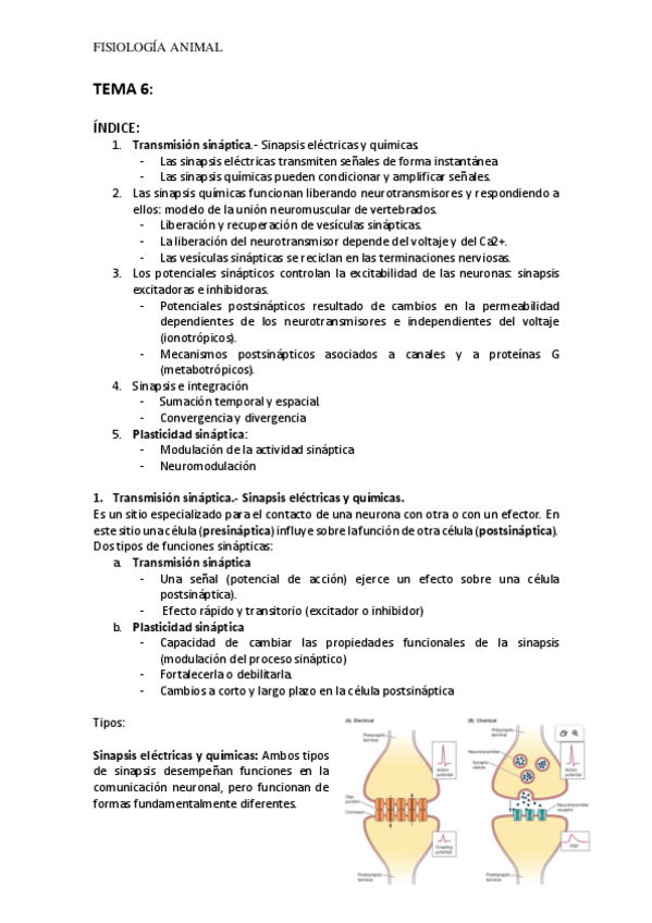 Miniatura del documento TEMA-6-FA.pdf