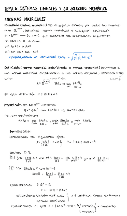 Miniatura del documento T6-MNAL-p.pdf