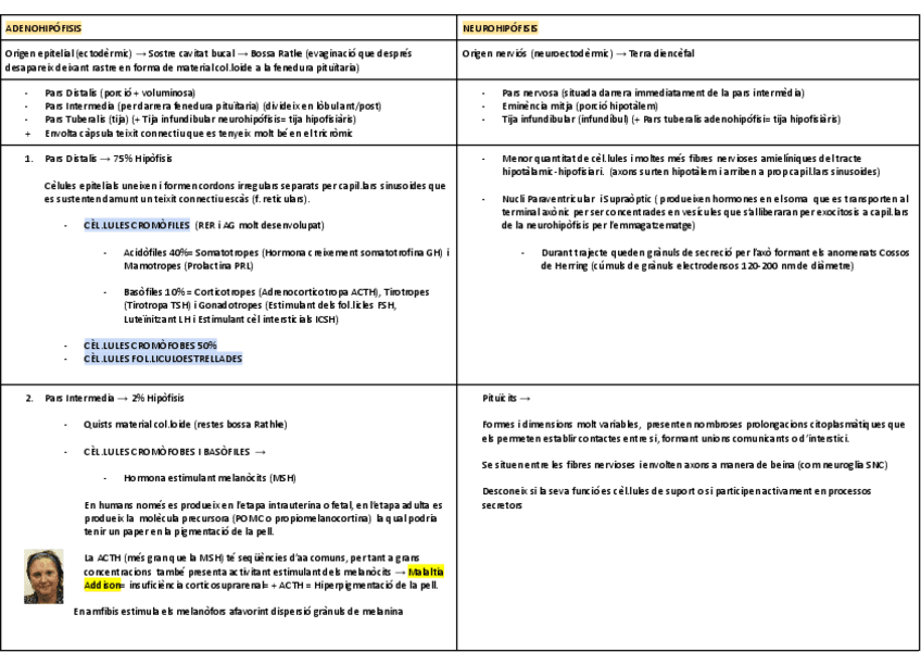 Miniatura del documento ESQUEMAS-ENDOCRINO-2.pdf