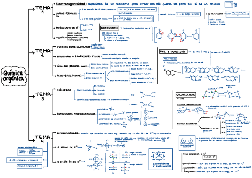 Miniatura del documento Esquema-Organica.pdf