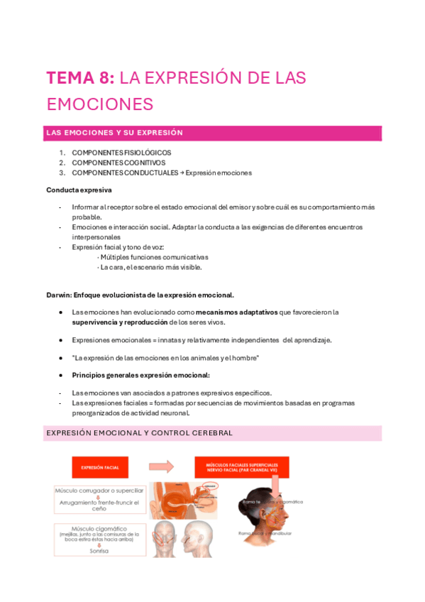 Miniatura del documento TEMA-8-MOTIVACION.pdf