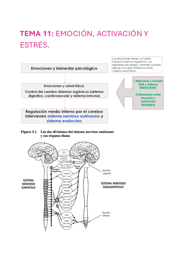 Miniatura del documento TEMA-11-MOTIVACION.pdf