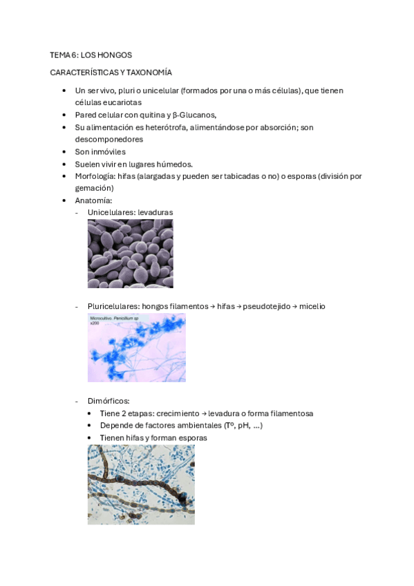 Miniatura del documento tema-6-micro-hongos.pdf
