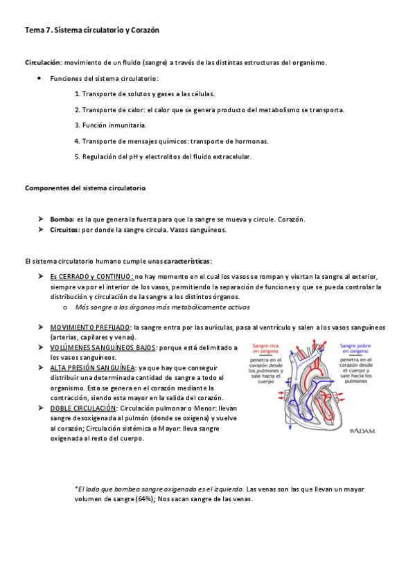 Miniatura del documento Tema 7. Sistema circulatorio y Corazón (Recuperado).pdf