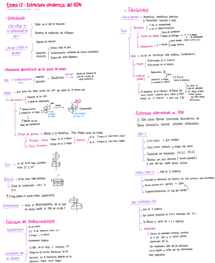 Miniatura del documento Esquema-tema-12.pdf
