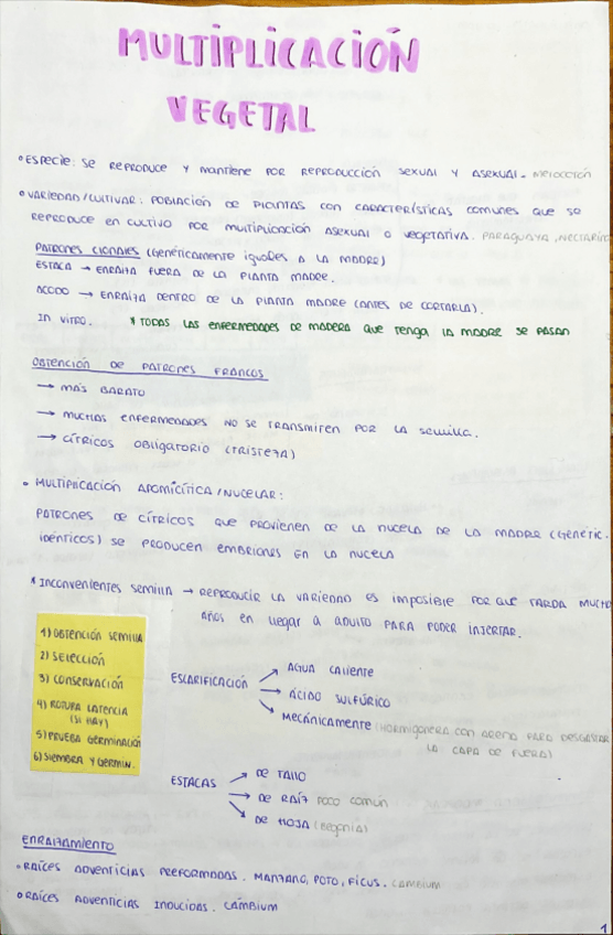 Miniatura del documento Multiplicacion-vegetal-apuntes.pdf