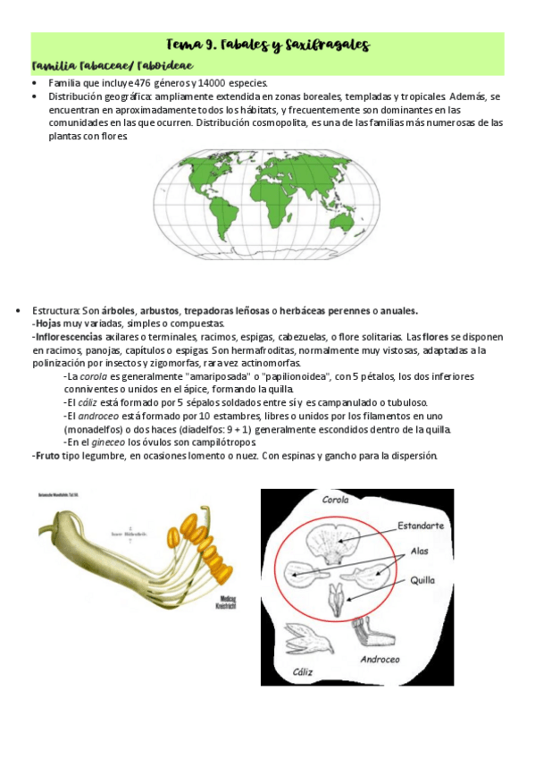 Miniatura del documento Tema-9.-Fabales-y-Saxifragales.pdf