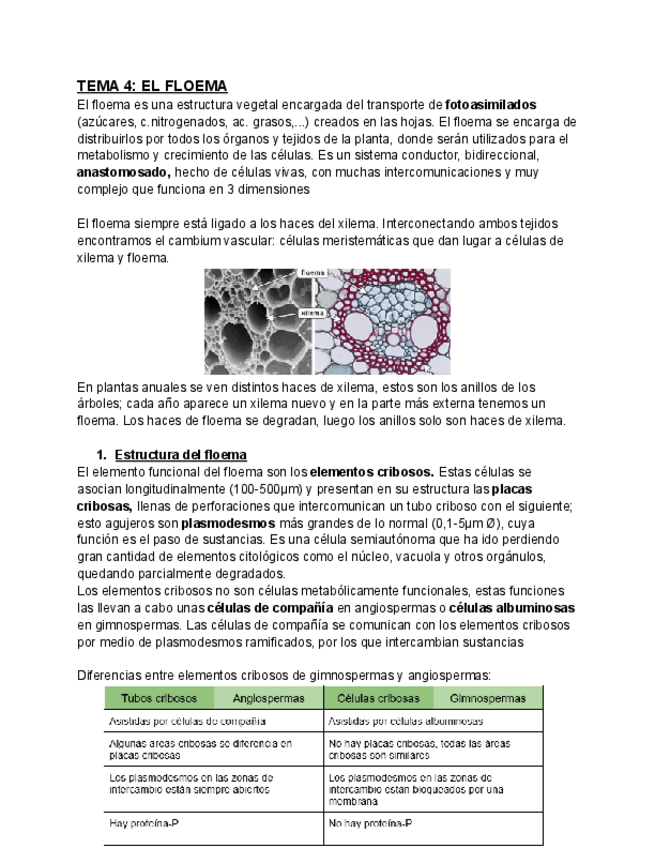 Miniatura del documento TEMA-4-BFP.pdf