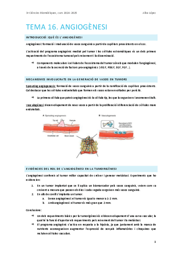 Miniatura del documento Tema-16.-Angiogenesi.pdf