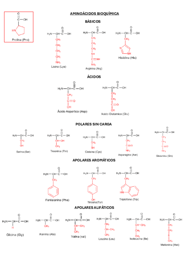 Miniatura del documento AMINOACIDOS-BIOQUIMICA.pdf