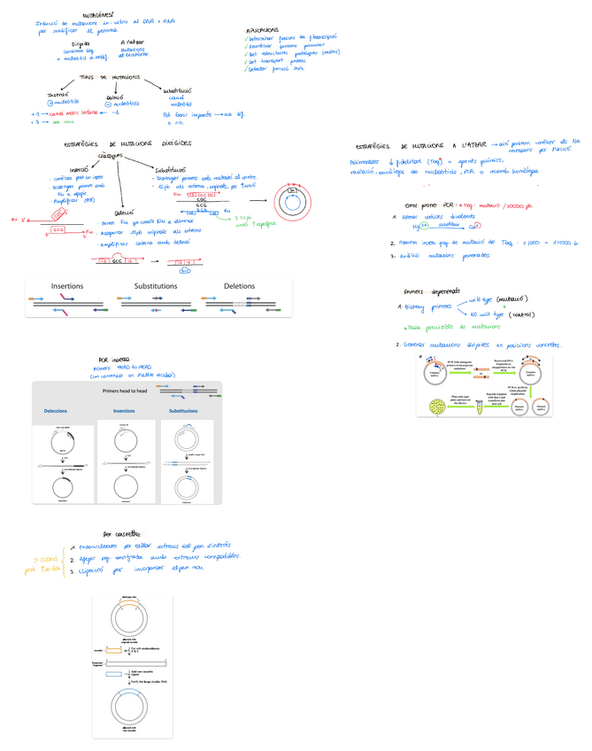 Miniatura del documento Tema-2.-Tecniques-mutagenesi.pdf