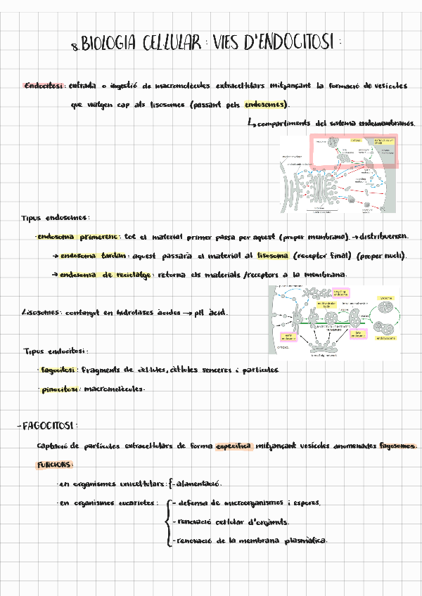 Miniatura del documento Biocel-vies-endocitosi.pdf