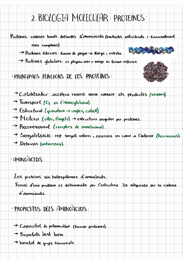 Miniatura del documento Bio-molecular-2-proteines.pdf