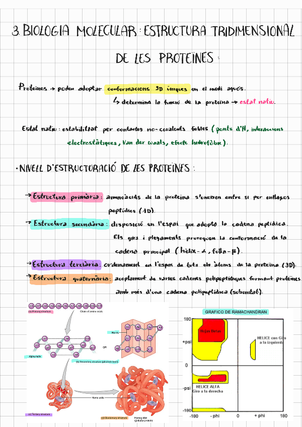 Miniatura del documento Bio-molecular-3-estructura-tridimensional-de-les-proteines.pdf