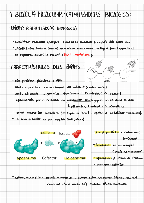 Miniatura del documento Bio-molecular-4-catalitzadors-biologics.pdf