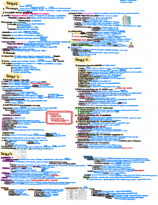 Miniatura del documento resumen-todo-bloques-del-1-al-5.pdf