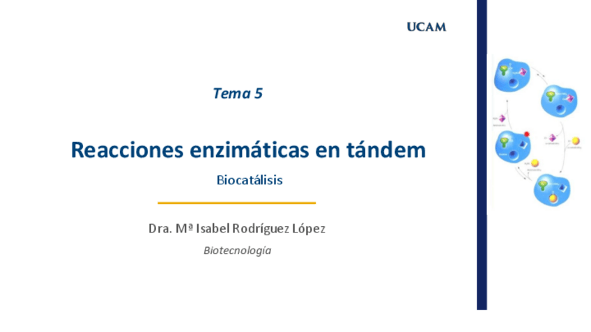 Miniatura del documento Tema-5-Biocatalisis-con-lo-que-dice-en-clase.pdf