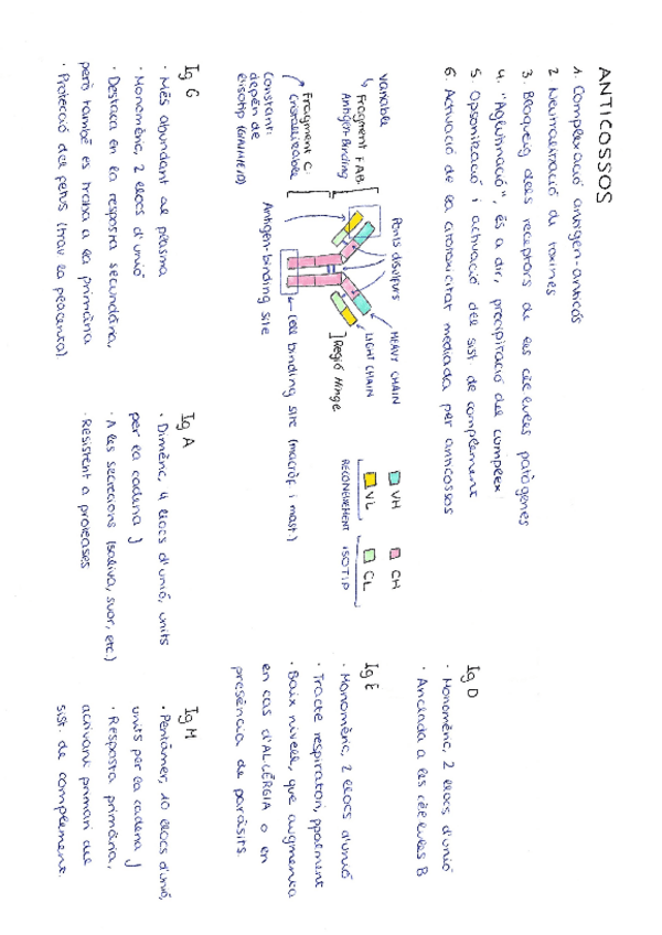 Miniatura del documento Resum-esquema-anticossos.pdf