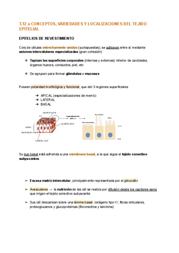 Miniatura del documento T.12-a-BIOLOGIA.pdf