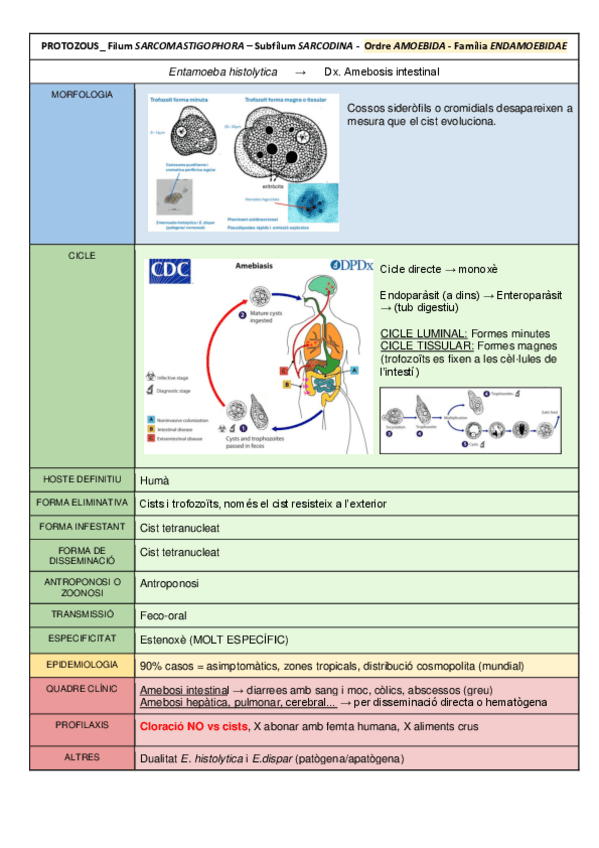 Miniatura del documento TAULES-PARASITOLOGIA-FINAL.pdf