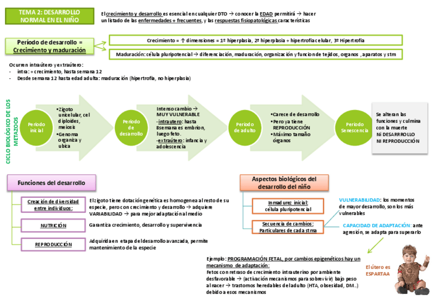 Miniatura del documento Tema 2 Desarrollo normal en el niño.pdf