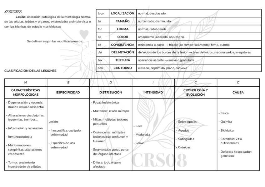 Miniatura del documento RESUMEN-MUY-RESUMIDO-APG-1o-CUATRI.pdf