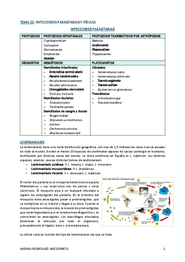 Miniatura del documento TEMA-22.-Infecciones-por-parasitos-y-virus.pdf