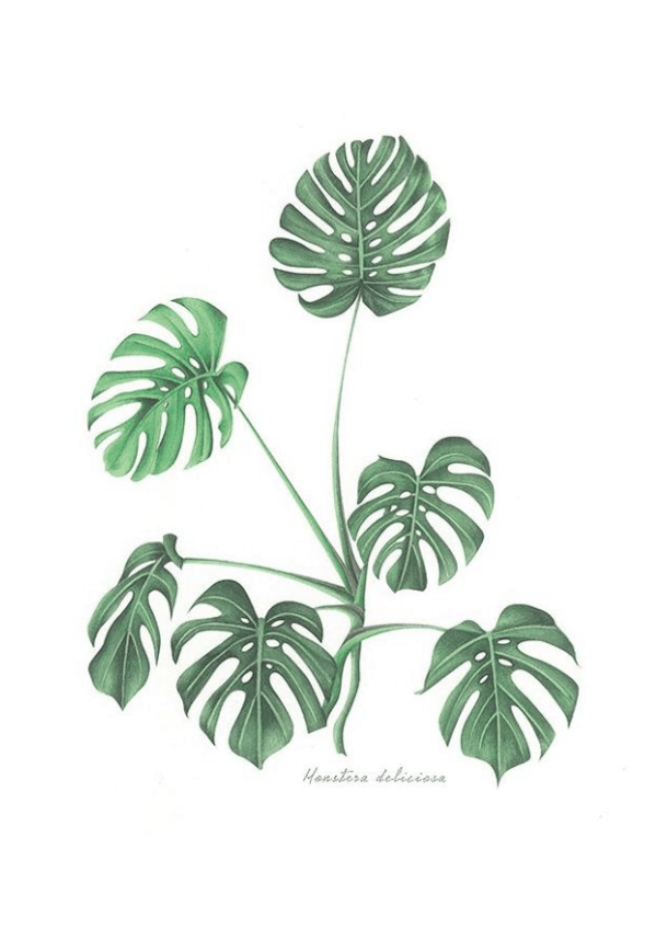 Miniatura del documento Preguntas-test-y-ejercicios.pdf