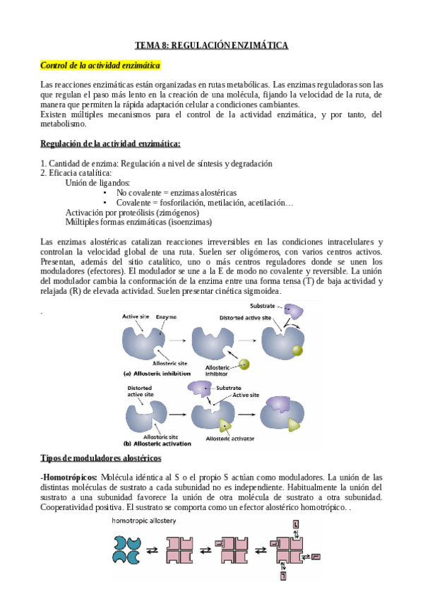 Miniatura del documento TEMA-8-REGULACION-ENZIMATICA.pdf