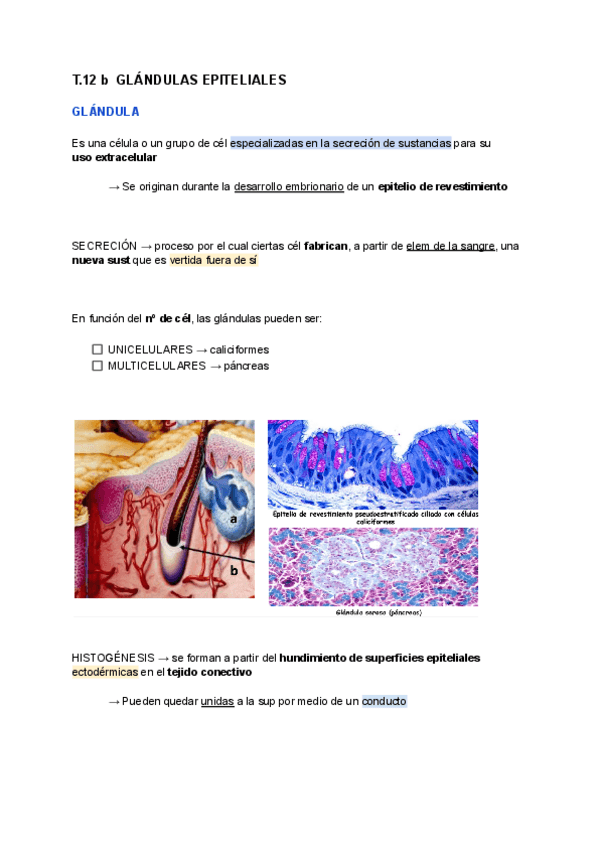 Miniatura del documento T.12-b-BIOLOGIA.pdf