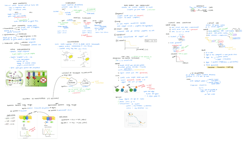 Miniatura del documento Tema-5.-Proteines-fluorescents-en-investigacio.pdf