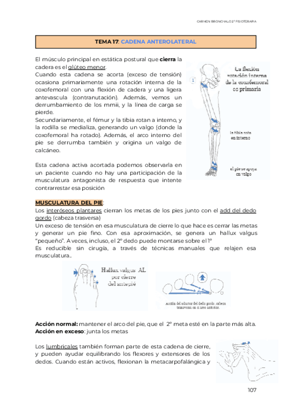 Miniatura del documento METODOS-I-cadenas-musculares.pdf