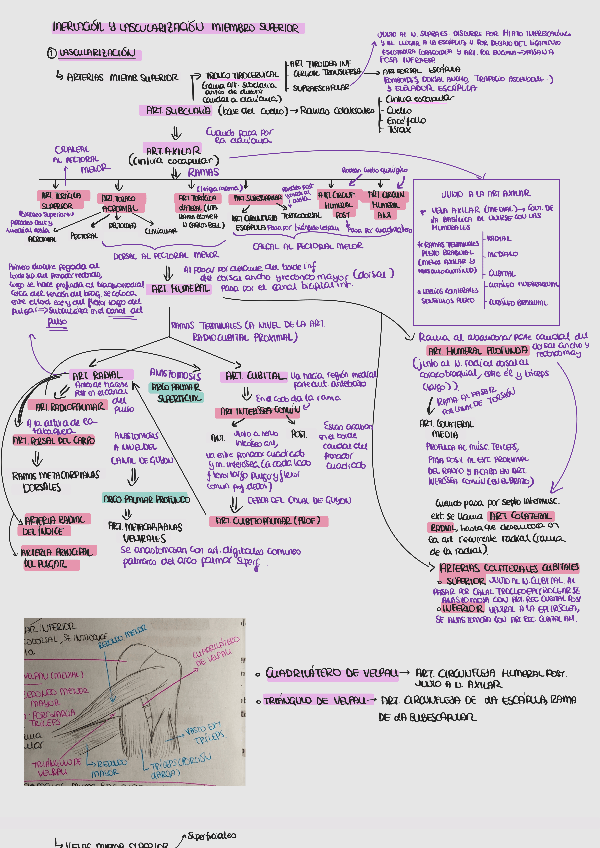 Miniatura del documento Esquema-esencial-MS.pdf