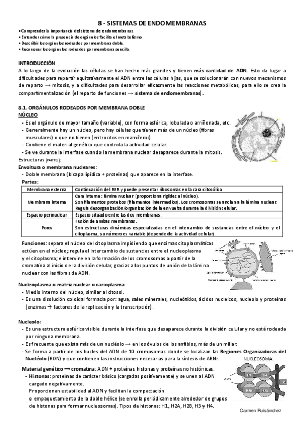 Miniatura del documento 8-Sistemas-de-endomembranas.pdf