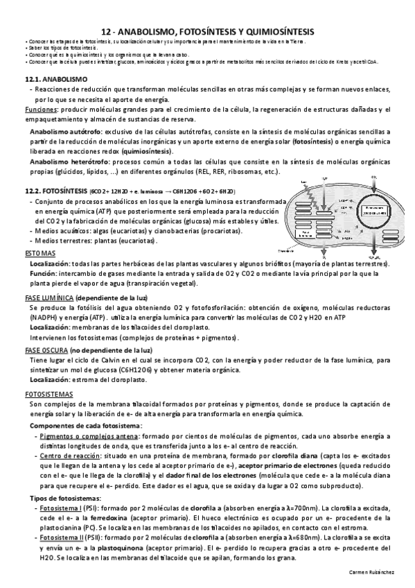 Miniatura del documento 12-Anabolismo-fotosintesis-y-quimiosintesis.pdf