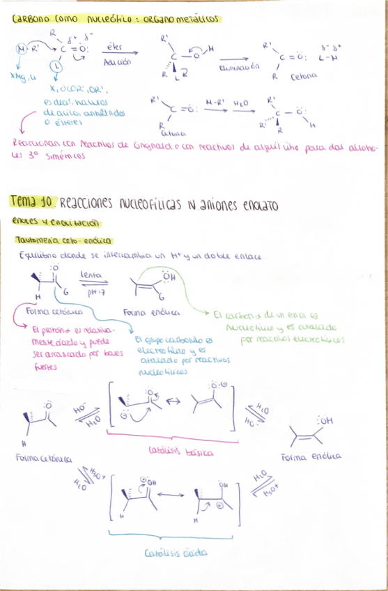 Miniatura del documento Tema-10-organica.pdf
