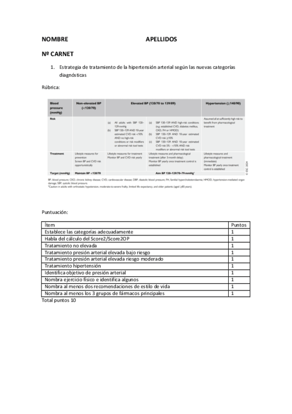 Miniatura del documento Rubrica-preguntas-cortas-2024.pdf