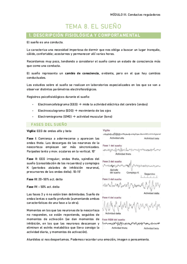 Miniatura del documento Tema-8.-El-sueno.pdf
