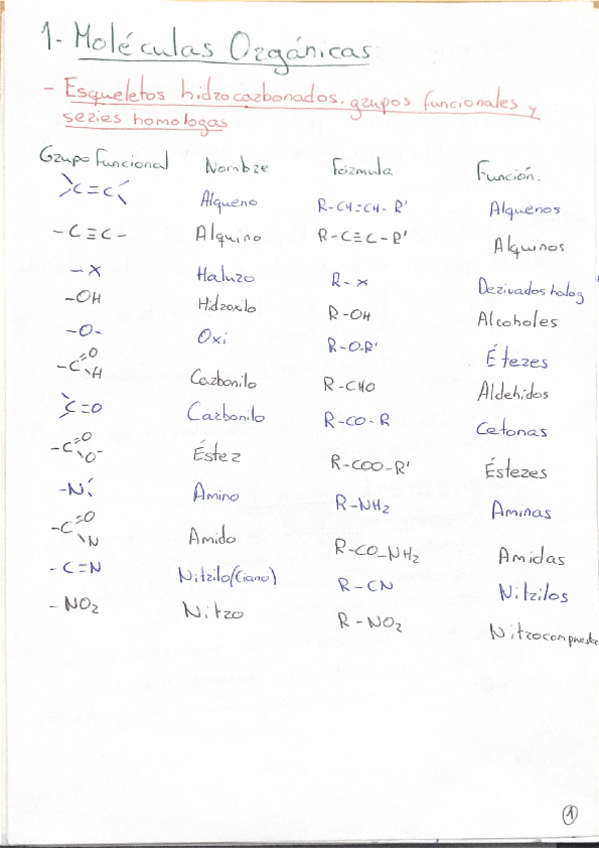 Miniatura del documento Temario-completo-con-reacciones-principales.pdf